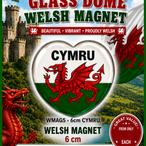 Glass Dome Welsh Heart Magnet - CYMRU