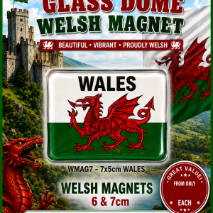 Glass Dome Welsh Rectangle Magnet - WALES
