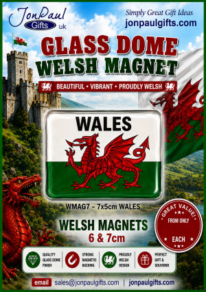 Glass Dome Welsh Rectangle Magnet - WALES
