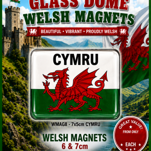 Glass Dome Welsh Rectangle Magnet - CYMRU