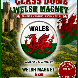 Glass Dome Welsh Circular Magnet - WALES 6 cm