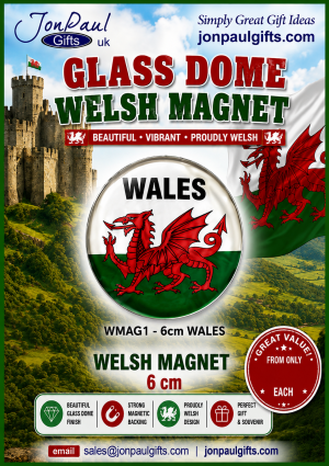 Glass Dome Welsh Circular Magnet - WALES 6 cm