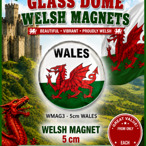 Glass Dome Welsh Circular Magnet - WALES 5 cm