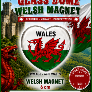 Glass Dome Welsh Heart Magnet - WALES